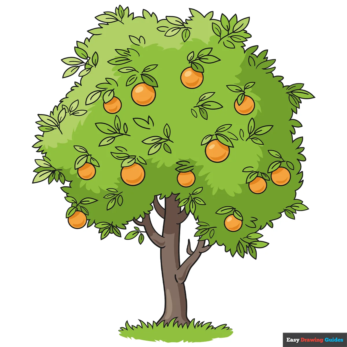 پرتقال دو رگه است و ربطی به کشور پرتقال نداره 1500